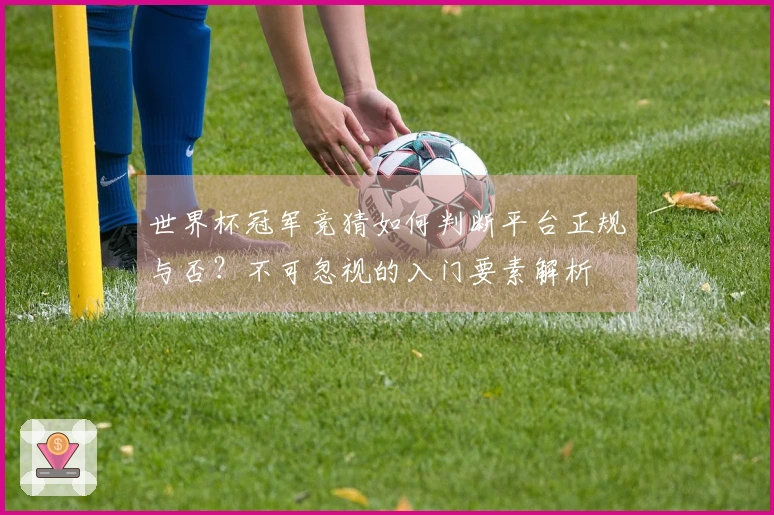世界杯冠军竞猜如何判断平台正规与否？不可忽视的入门要素解析