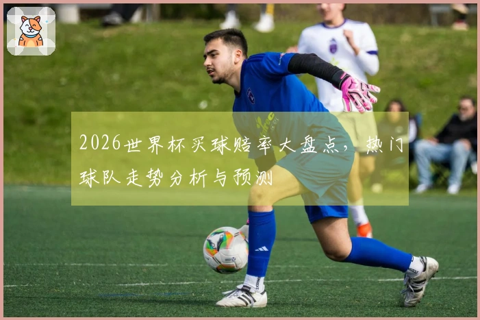 2026世界杯买球赔率大盘点，热门球队走势分析与预测