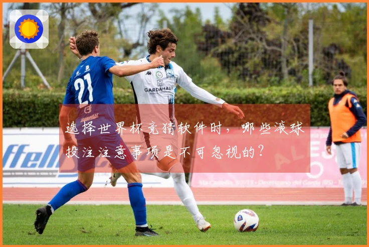 选择世界杯竞猜软件时，哪些滚球投注注意事项是不可忽视的？
