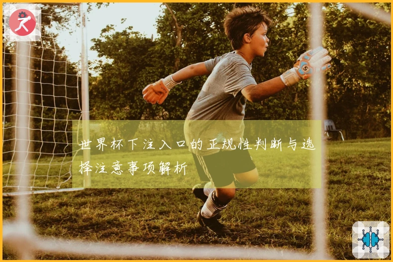 世界杯下注入口的正规性判断与选择注意事项解析