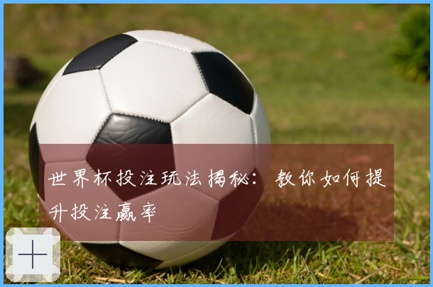 世界杯投注玩法揭秘：教你如何提升投注赢率