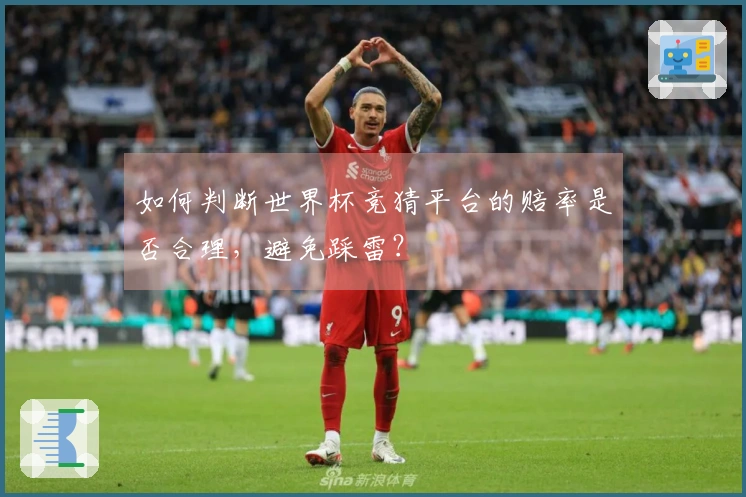如何判断世界杯竞猜平台的赔率是否合理，避免踩雷？