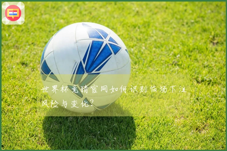 世界杯竞猜官网如何识别临场下注风险与变化？