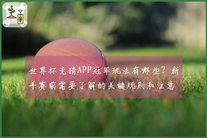 世界杯竞猜APP冠军玩法有哪些？新手赛前需要了解的关键规则和注意事项