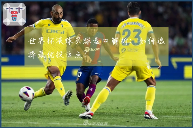 世界杯滚球买球盘口解析：如何选择最优投注点？