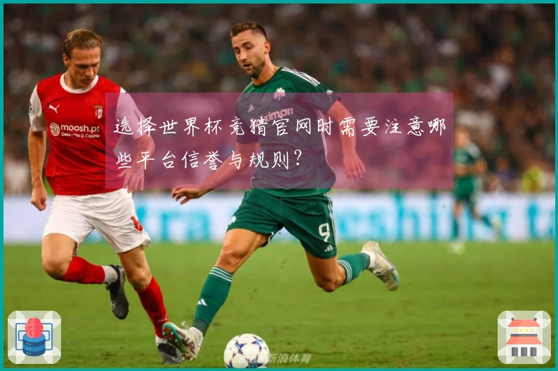 选择世界杯竞猜官网时需要注意哪些平台信誉与规则？