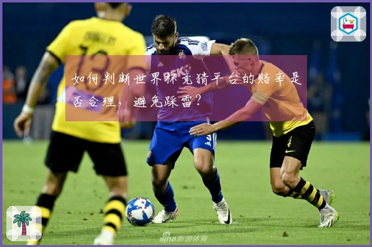如何判断世界杯竞猜平台的赔率是否合理，避免踩雷？